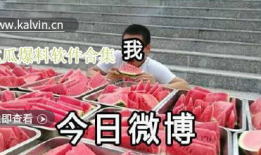 吃瓜爆料全集视频下载免费,免费下载，一网打尽热门事件